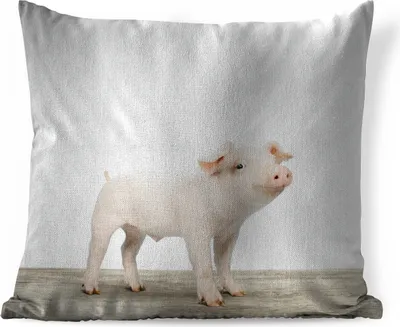 Produktbild von MuchoWow® Zierkissen Sofakissen Wohnzimmer Dekokissen 50x50 cm Ferkel - Groß - Tiere - Rosa - Jungen - Mädchen - Kinder - Komfort - Sofakissen