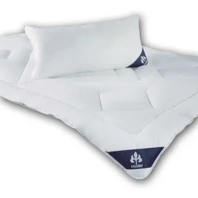 Produktbild von Alt-irisette Baumwolle Kopfkissen Noblesse 80x80 cm