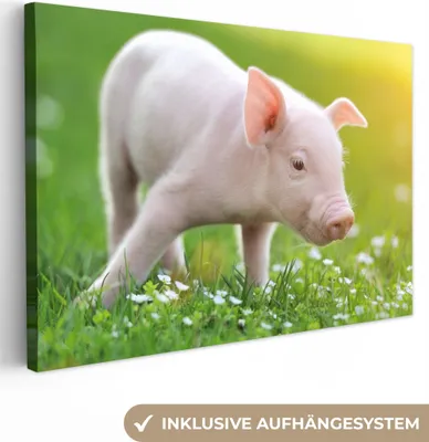 Obrázok produktu pre MuchoWow® - Plátno - Zvieratá - Prasiatko, nástenná maľba, nástenné dekorácie obrazy obývacia izba, 90x60cm