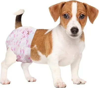 Produktbild von Famanu Hundeluiers Superabsorbierend - Wegwerf, für weibliche Hunde