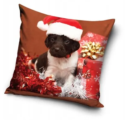 Produktbild von Carbotex Weihnachtskissenhülle Samt 40x40 cm
