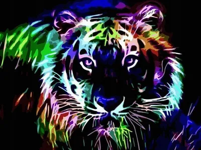 Produktbild von Pampicio Diamond Painting Set 5D Tiger Motiv für Kinder