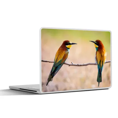 Produktbild von MuchoWow® Laptop Aufkleber Sticker Cover Vögel - Bienenfresser - Tiere 36.5x27.5 cm - Laptop-Sticker