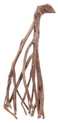 Produktbild von Aquarium Wurzel Talawa 20x17x42cm filigran gradlinige Verzweigungen Unikat