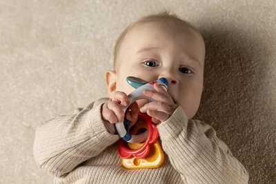 Immagine prodotto di ToloMouse Rattle