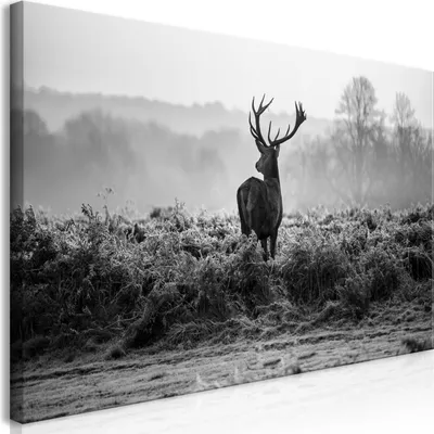 Produktbild von Wandbild Mega XXXL Hirsch 250x125 cm Einteiliger XXL-Format Kunstdruck zur Selbstmontage Leinwandbilder moderne Bilder DIY Wanddekoration Wohnung Deko Natur Tier Landschaft g-B-0047-ak-g