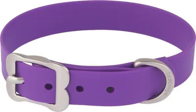Produktbild von Halsband RD Vivid 15 mm x 24-30 cm - Lila