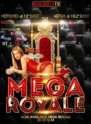Zdjęcie produktu dla Karta REDLIGHT MEGA Elite ROYALE 13 Viaccess - 12 miesięcy