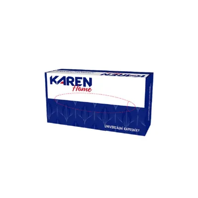 Produktbild von Taschentücher in Box KAREN 100 Stück/2vr.