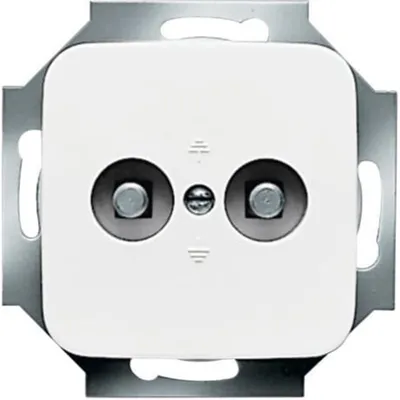 Produktbild von Busch-Jaeger 2495-0-0059, Weiß