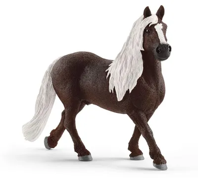 Produktbild von schleich FARM WORLD 13897, 3 Jahr(e), Farm animals / farm toys, Horses, Mehrfarbig, Kunststoff