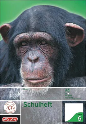 Produktbild von Schulheft A5 16 Blatt Lineatur 06 Packung mit 10 Stück