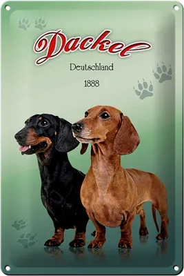 Produktbild von Blechschild Hund 20x30cm Dackel Deutschland 1888