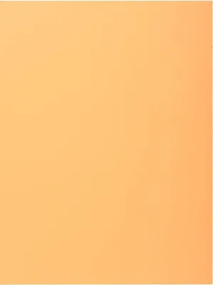 Produktbild von Exacompta 5x 50er Sammelmappen SUPER 210 mit eine Klappe - Sand - 339002E