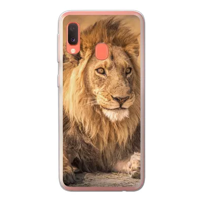 Produktbild von MuchoWow® Handyhülle Schutzhülle Hülle für Samsung Galaxy A20e Löwe - Nahaufnahme - Savanne Silikon Softcase Handy Hülle - Abdeckung