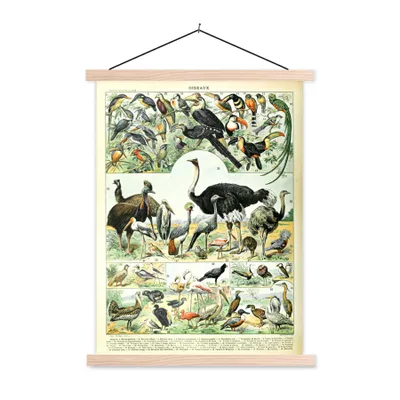 Produktbild von MuchoWow® Textilposter Vogel - Tiere - Natur 60x80 cm mit holzfarbenen Rahmen - Wandbild