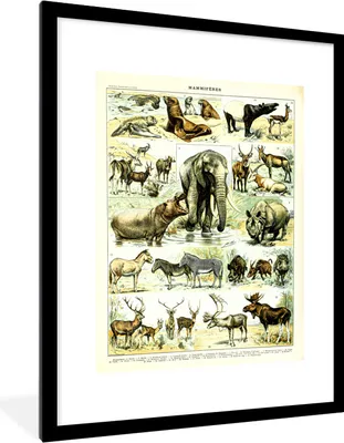 Produktbild von MuchoWow® Gerahmtes Poster Tiere - Elefanten - Hirsche 60x80 cm - Poster mit Schwarzem Bilderrahmen Wandposter Rahmen Foto Bilder - Wohnzimmer - Dekorationen - Prämie