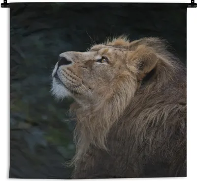 Produktbild von MuchoWow® Wandteppich Wandbehang Löwe - Schwarz - Dschungel 120x120 cm Tapisserie Dekoration Wandtuch - Modern - Baumwollgewebe