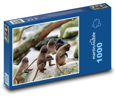Zdjęcie produktu dla martinpuzzle - Puzzle 1000 - Małpy - zwierzęta, zoo