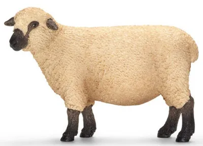 Produktbild von Schleich Shropshire Schaf