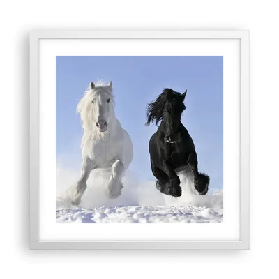 Produktbild von Gerahmtes Poster - Weißer Rahmen - Tiere Schönheit Wettbewerb - 40x40 cm - Wand Bild - Wanddeko - Wandbilder - Wandposter - Bilderrahmen - Bilder - Kunstdruck - Wandbild - P2WAC40x40-2179