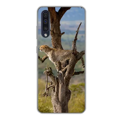 Produktbild von MuchoWow® Handyhülle Schutzhülle Hülle für Samsung Galaxy A50 Leopard - Baum - Tier Silikon Softcase Handy Hülle - Mobiltelefonhülle