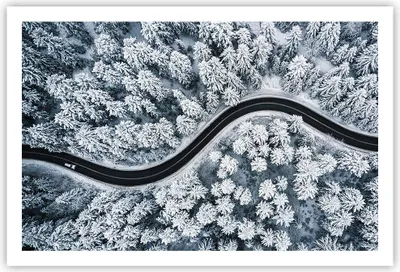 Produktbild von Poster - Poster ohne Rahmen - Wald Winter Straße - 91,5x61 cm - Wand Bild - Wanddeko - Wandbilder - Kunstposter - Wandposter - Bilder - Kunstdruck - Wanddekoration - Wandbild - P2XAA91x61-5010