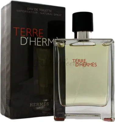 Immagine prodotto di Hermès Terre d'Hermes 100 ml EDT Spray