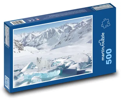 Produktbild von Puzzle 500 Fuchs auf dem Gletscher - martinpuzzle