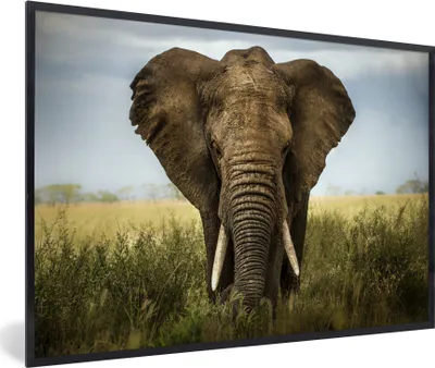 Produktbild von MuchoWow® Gerahmtes Poster Elefant - Natur - Gras - Tiere - Landschaft 60x40 cm - Poster mit Schwarzem Bilderrahmen Wandposter Rahmen Foto Bilder - Printing - Wanddeko Schlafzimmer