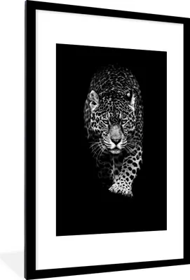Produktbild von MuchoWow® Gerahmtes Poster Tiere - Schwarz - Leopard - Weiß - Wild 60x90 cm - Poster mit Schwarzem Bilderrahmen Wandposter Rahmen Foto Bilder - Dekoration - Wandposter Wohnzimmer - Hochwertig