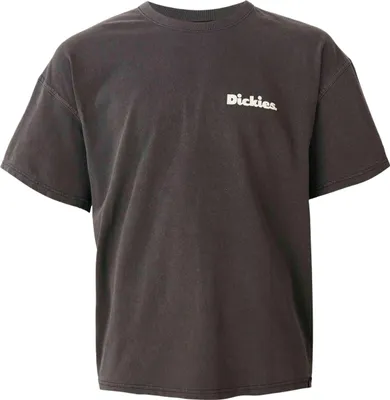 Immagine prodotto di T-shirt Dickies DK0A87QRBLK1 da Uomo