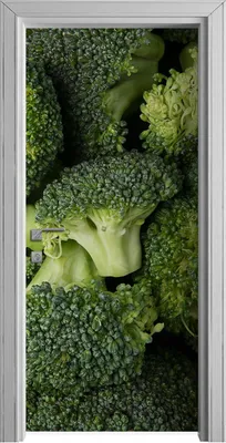 Produktbild von Tür Selbstklebende 90x210 cm Türfolie Türtapete Klebefolie - grüner frischer Brokkoli