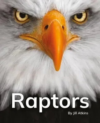 Image de Raptors