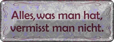 Produktbild von vianmo Blechschild 10x27 cm Alles was man hat vermisst nicht Spruch Zitat