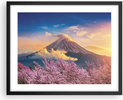 Produktbild von Gerahmtes Poster - Schwarzer Rahmen - Fuji Blume Kirsche - 50x40 cm - Wand Bild - Wanddeko - Wandbilder - Kunstposter - Wandposter - Bilderrahmen - Bilder - Kunstdruck - P2BAA50x40-4490