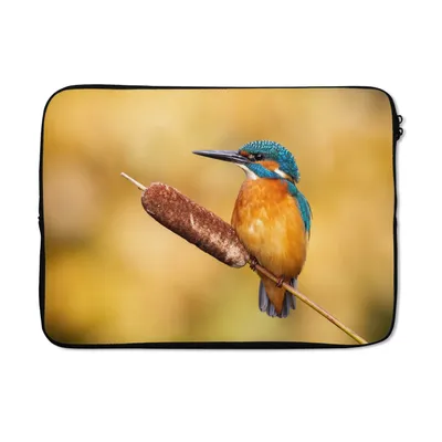 Produktbild von MuchoWow® Laptop Hülle 13 Zoll Eisvogel - Natur - Vogel Laptoptasche - Laptophülle - Sleeve - Rundumschutz