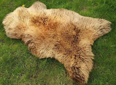 Image de Mouton de Scandinavie véritable fourrure d'agneau TOP TANNÉ CREME MARRON XL 110cm
