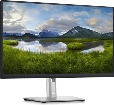 Produktbild von Dell P2423D, LED-Monitor, (QHD, 60 Hz, HDMI, DisplayPort)