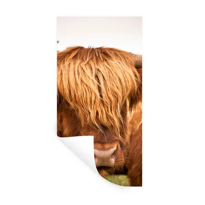 Produktbild von MuchoWow® Wandtattoo Wandsticker Wandaufkleber Schottische Highlander - Braun - Gras 40x80 cm Selbstklebend und Repositionierbar - Repositionierbar - Wasser abweisend