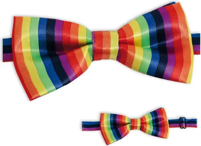 Produktbild von Fliege Schleife Bunt Clown 12 cm breit Fasching Karneval Party Cosplay