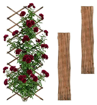 Produktbild von Relaxdays Rankgitter ausziehbar, 3er Set, 310x90 cm, Holz, Wandmontage, Rankhilfe Kletterpflanzen, Holzgitter, geflammt