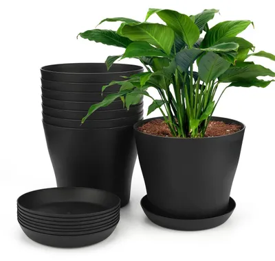 Immagine prodotto di Set di 8 vasi con sottovaso, diametro 17 cm, colore nero, in plastica