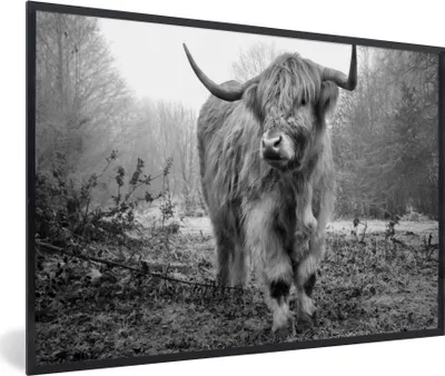 Produktbild von MuchoWow® Gerahmtes Poster Schottischer Highlander - Wald - Nebel - Kuh - Tiere - Natur 60x40 cm - Poster mit Schwarzem Bilderrahmen Wandposter Rahmen Foto Bilder - Printing - Wanddeko Schlafzimmer