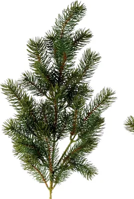 A close-up of a green artificial pine branch against a white background.