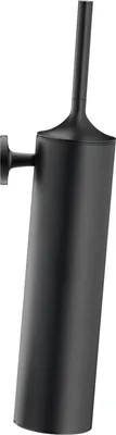 Immagine prodotto di Ensemble brosse Duravit Starck T, mural, 0099464600, 0099464600