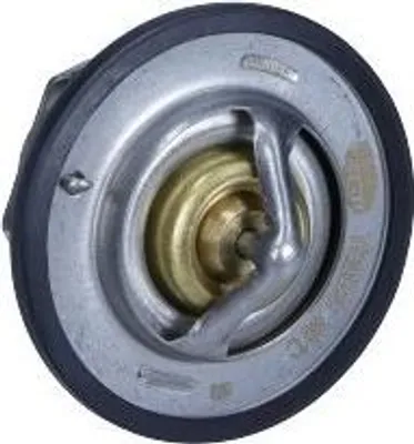 Immagine prodotto di Termostato Opel 89C