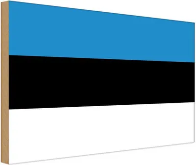 Produktbild von vianmo Holzschild 30x40 cm Estlands Estonia Flagge Fahne Wappen