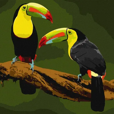Produktbild von IDEYKA Malen nach Zahlen Exotische Vögel 40x40 Tiere mit Holzrahmen