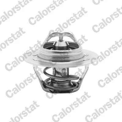 Produktbild von CALORSTAT by Vernet Thermostat + Dichtung